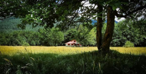 House for writers